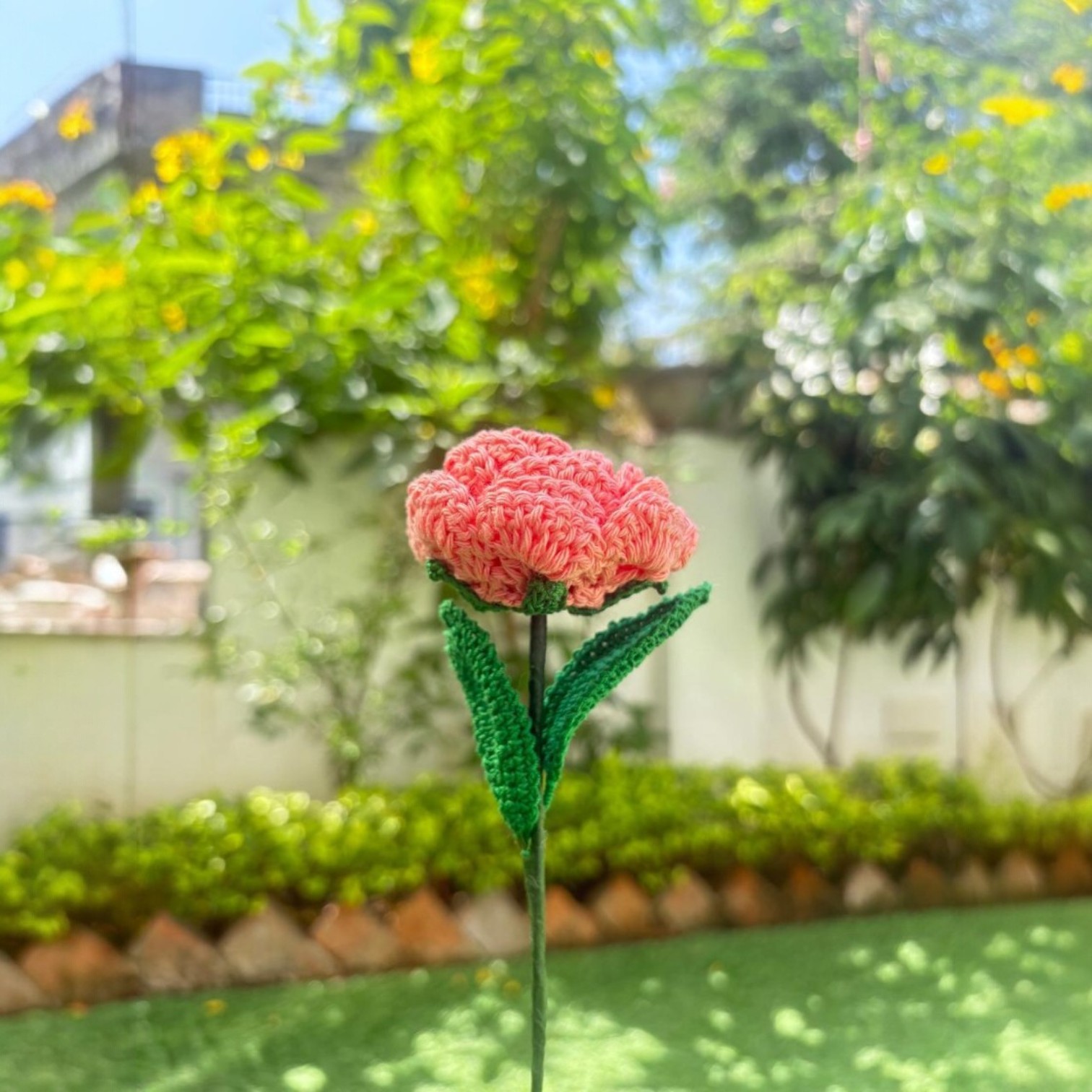 IMG-20250315-WA0009-Photoroom