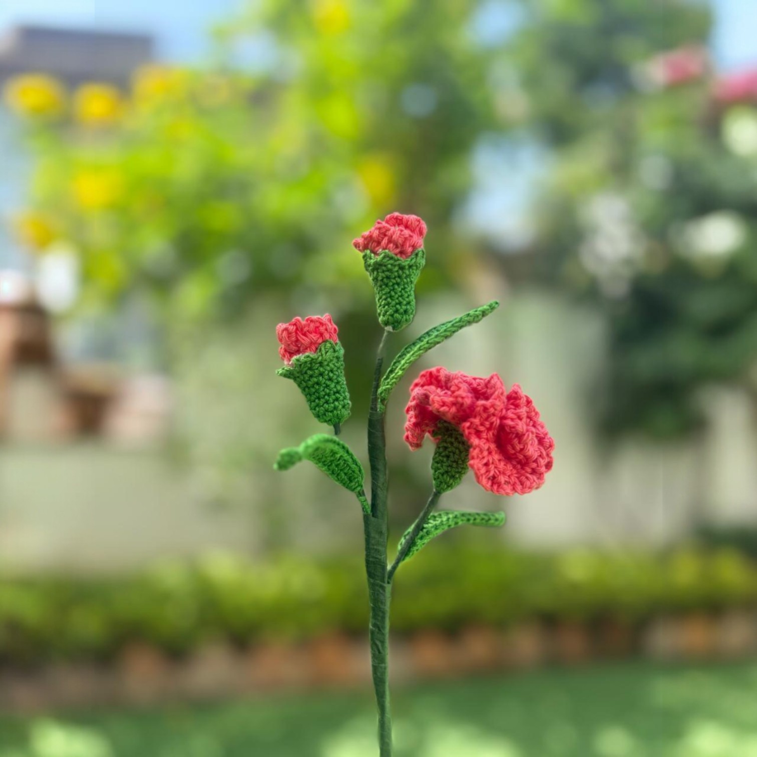 IMG-20250315-WA0018-Photoroom