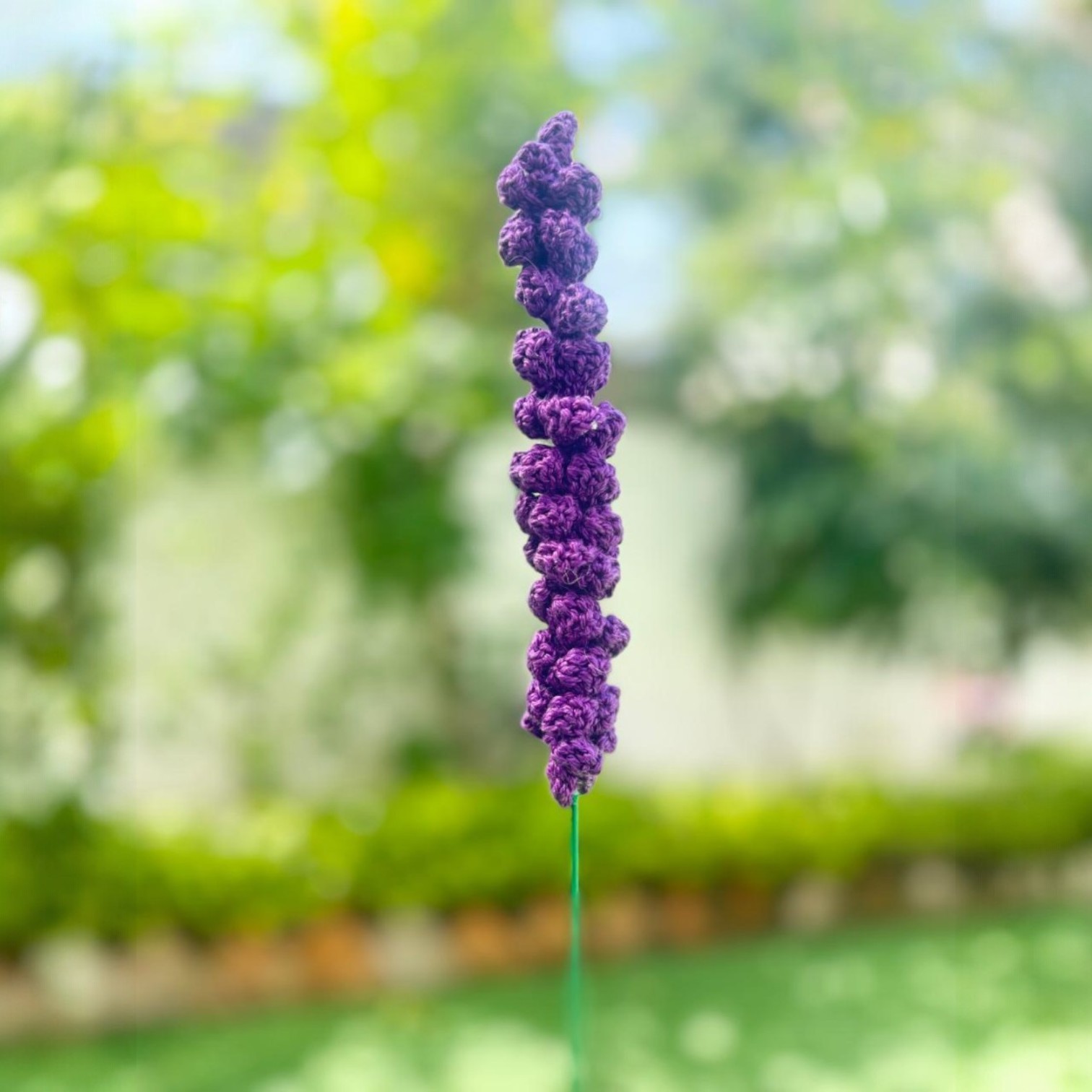 IMG-20250315-WA0022-Photoroom