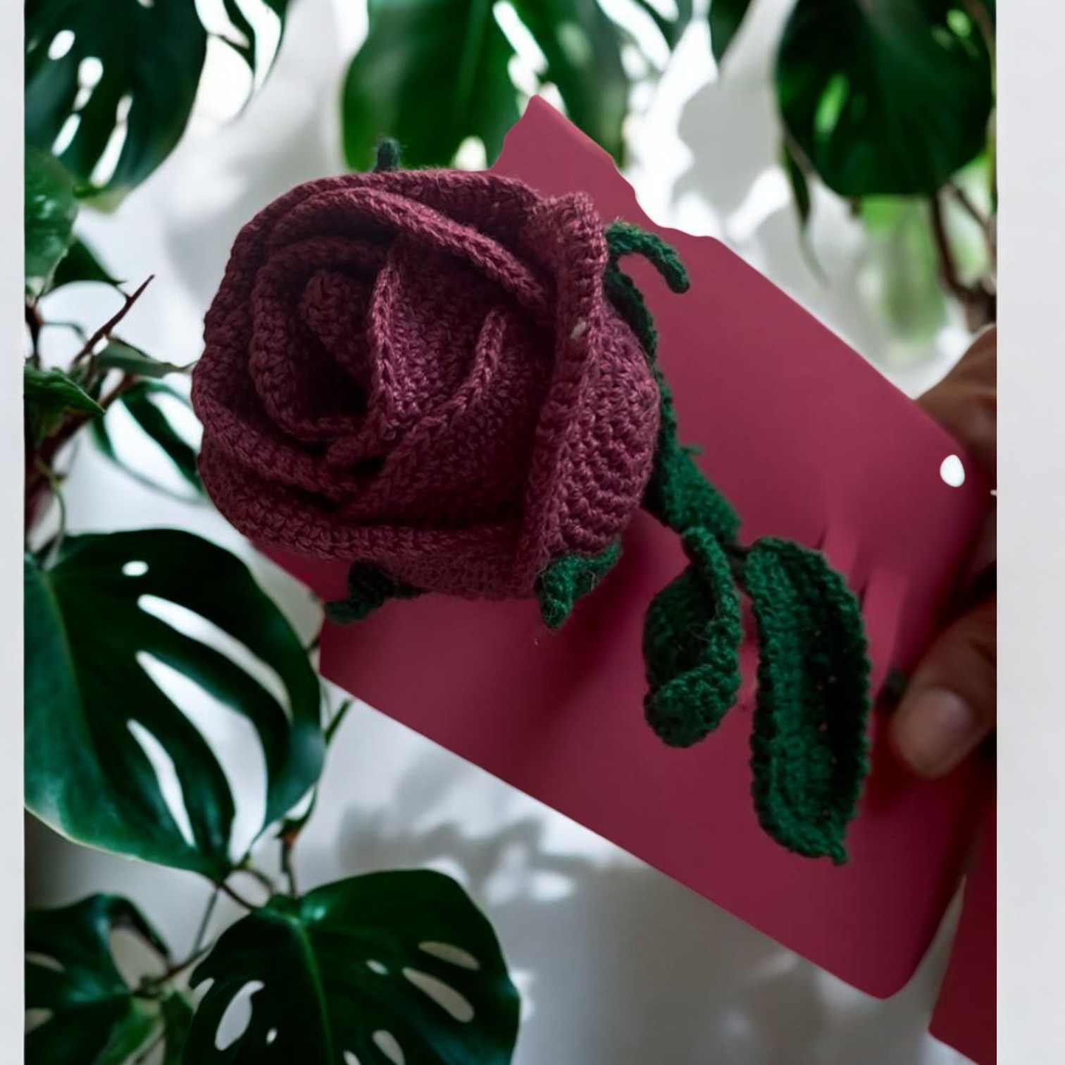 IMG-20250316-WA0002-Photoroom