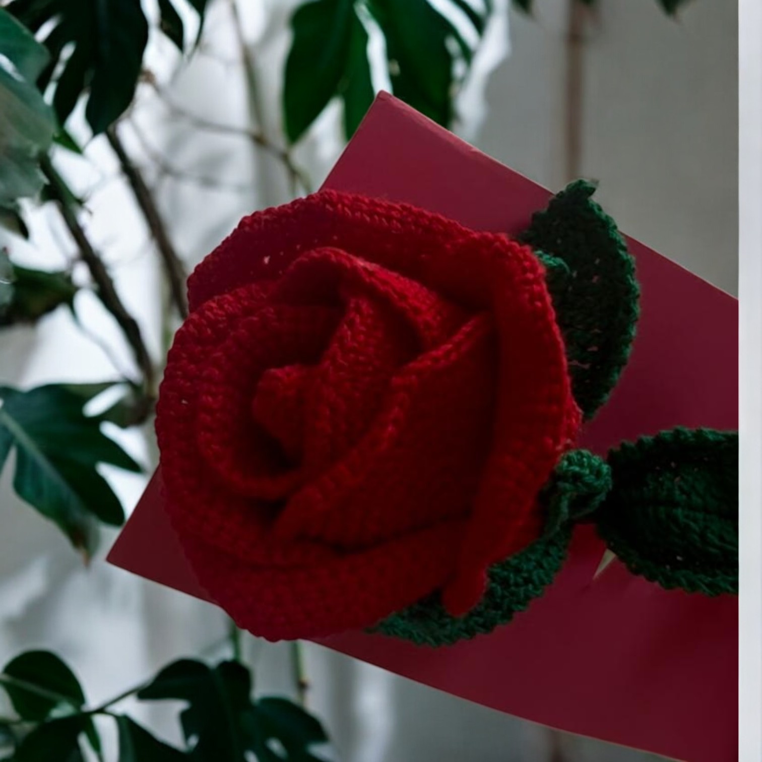 IMG-20250316-WA0003-Photoroom IMG-20250316-WA0003-Photoroom