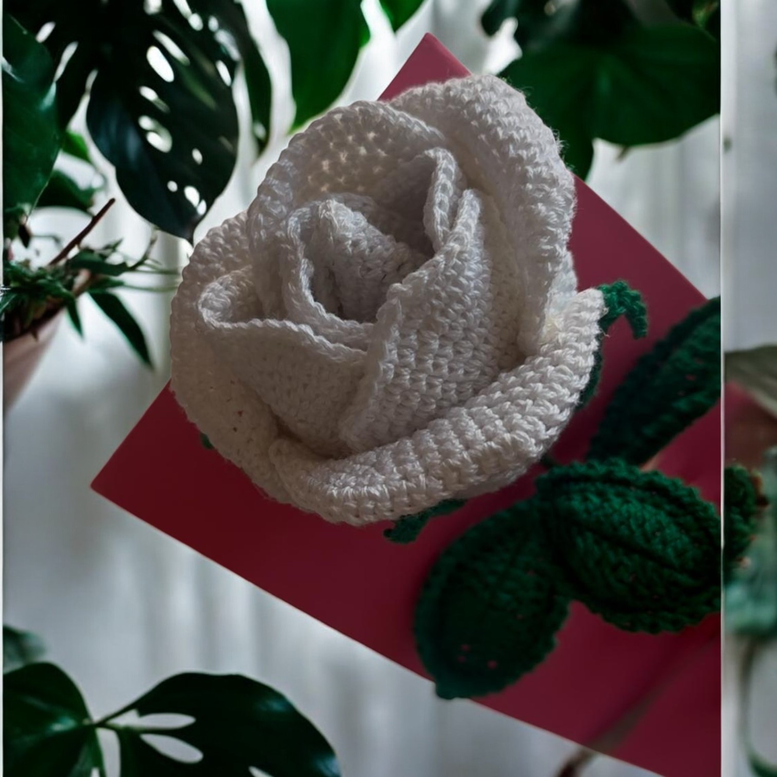 IMG-20250316-WA0005-Photoroom IMG-20250316-WA0005-Photoroom