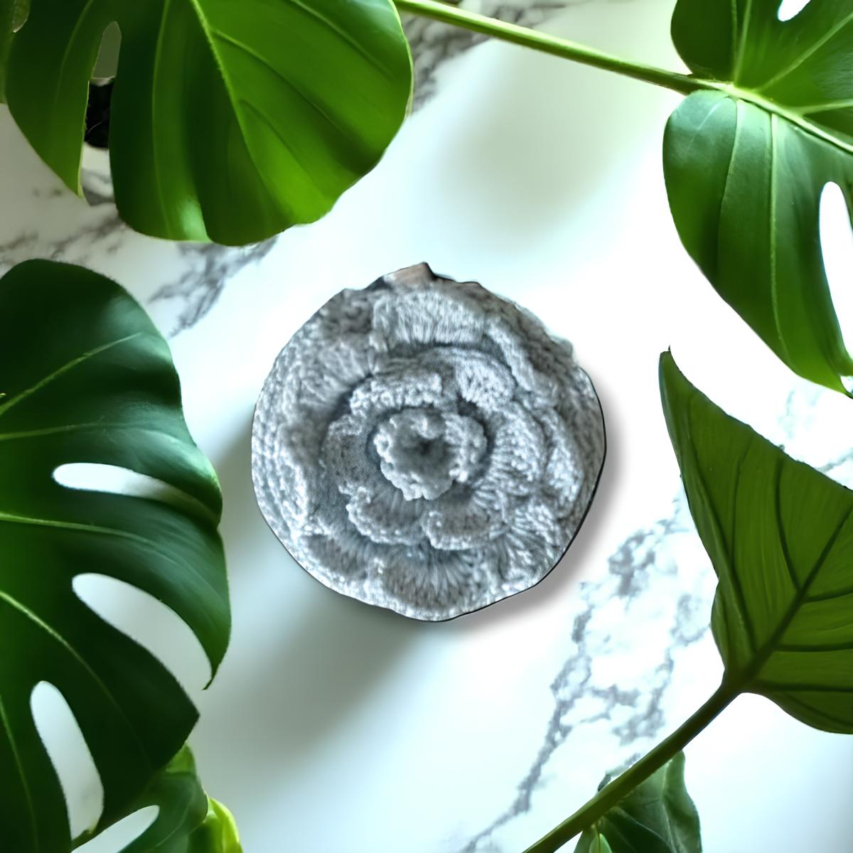 IMG_8324-scaled-600x600-Photoroom (2)