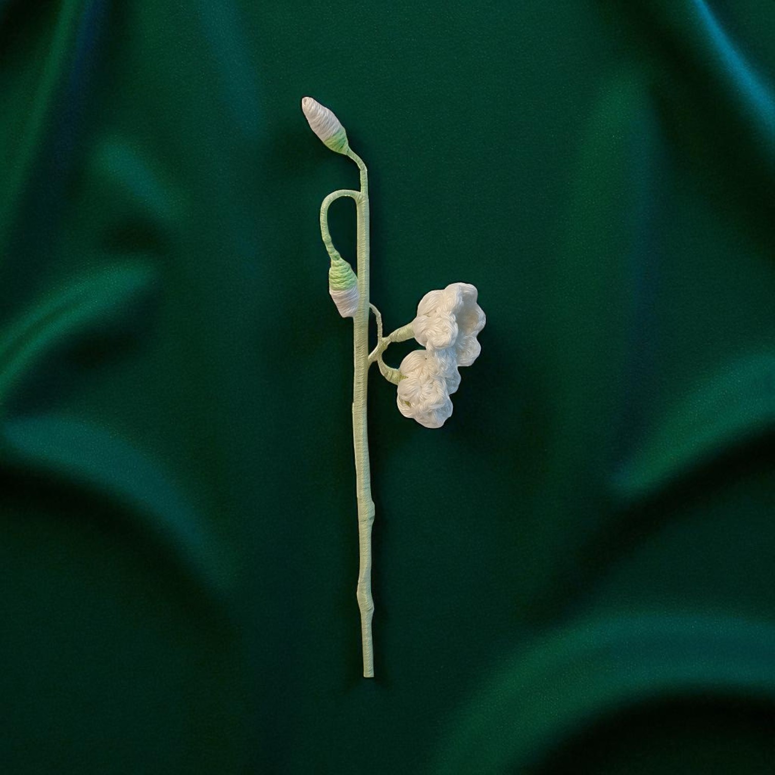 IMG-20250703-WA0020-Photoroom