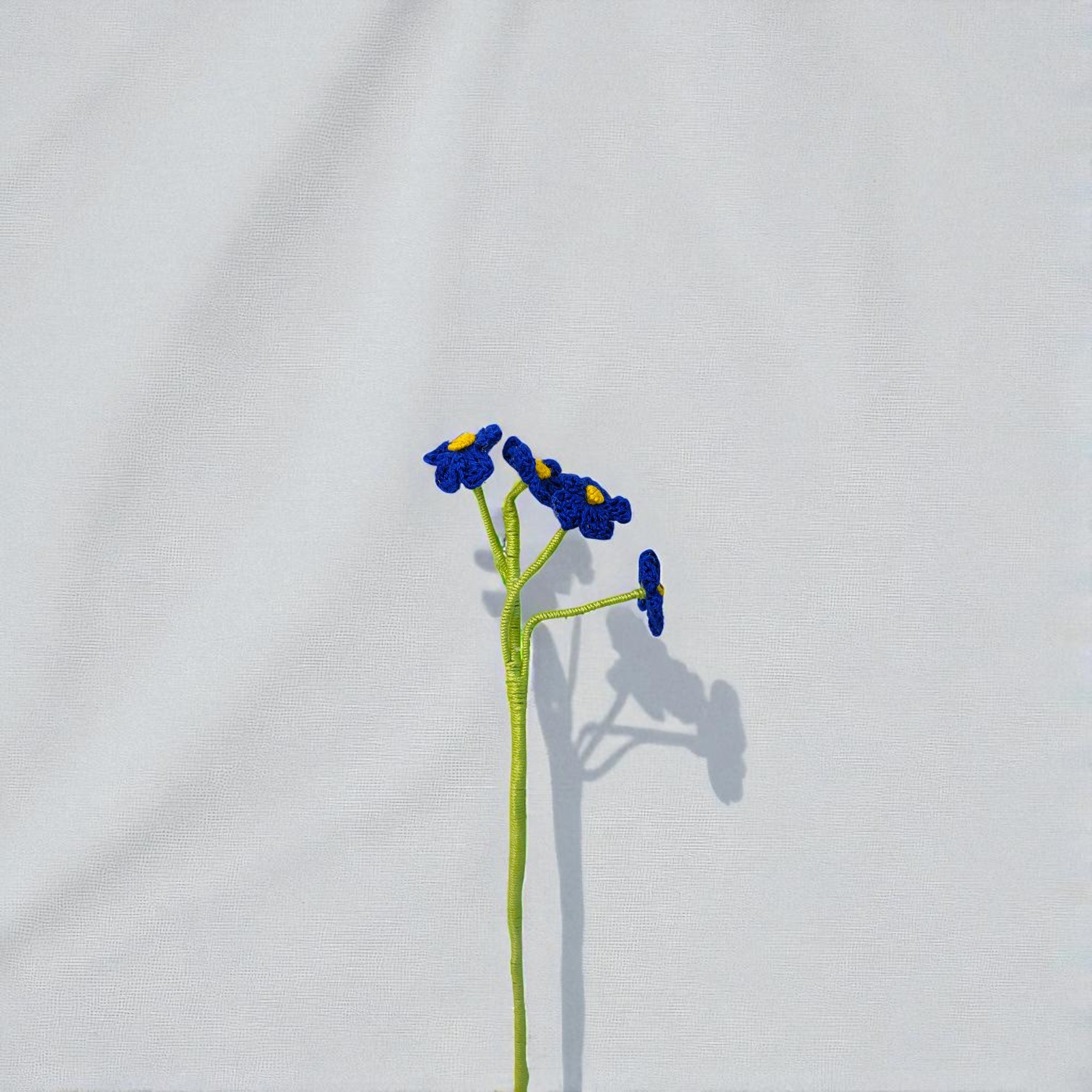 IMG-20250703-WA0022-Photoroom