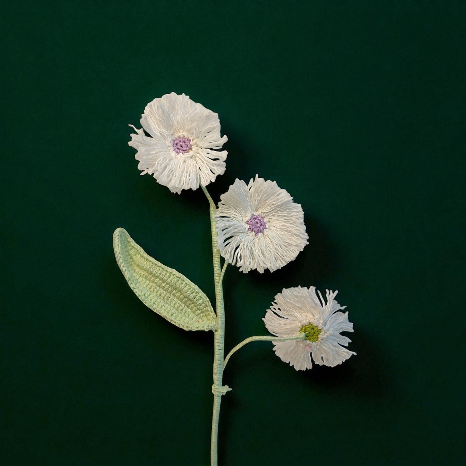 IMG-20250703-WA0032-Photoroom