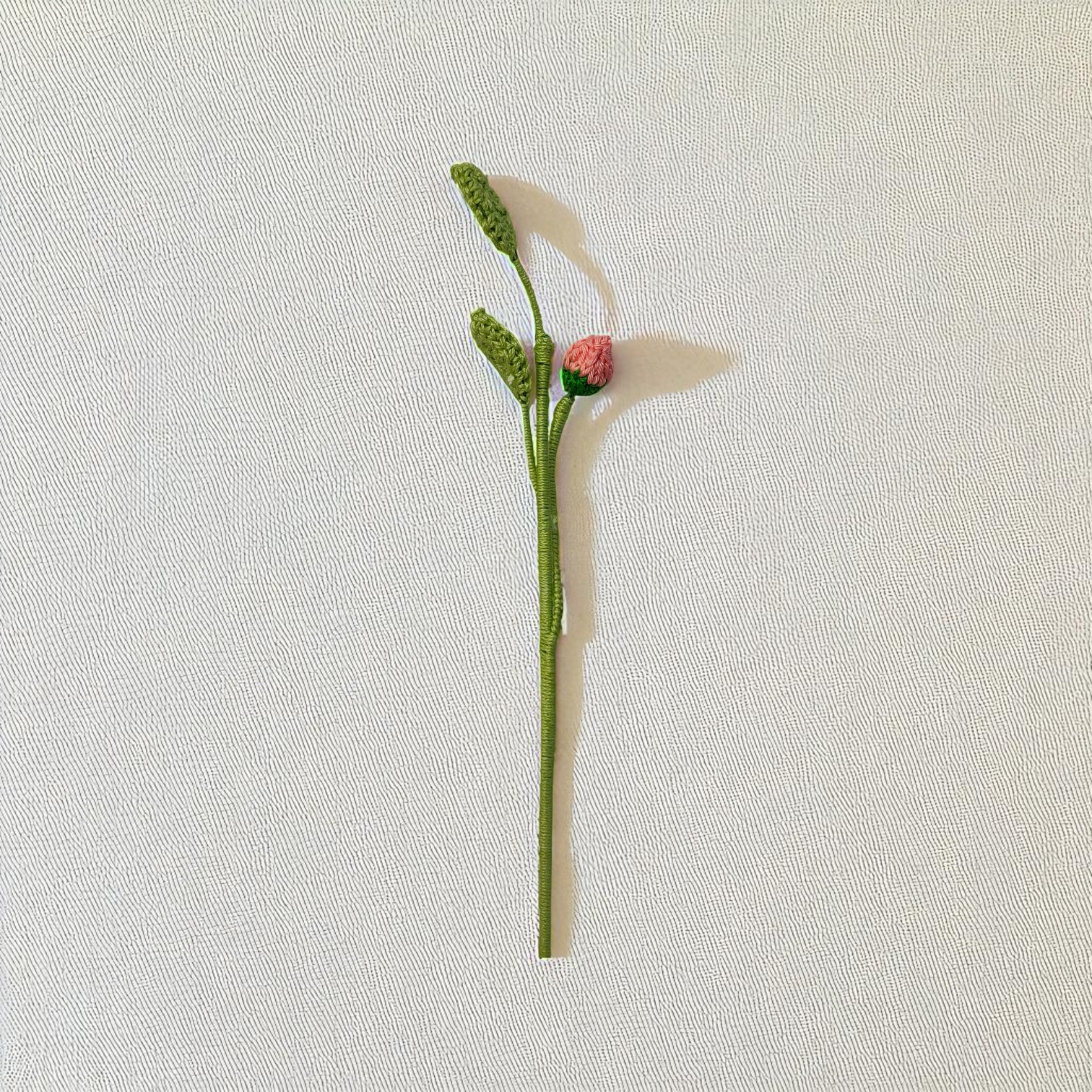 IMG-20250703-WA0036-Photoroom IMG-20250703-WA0036-Photoroom