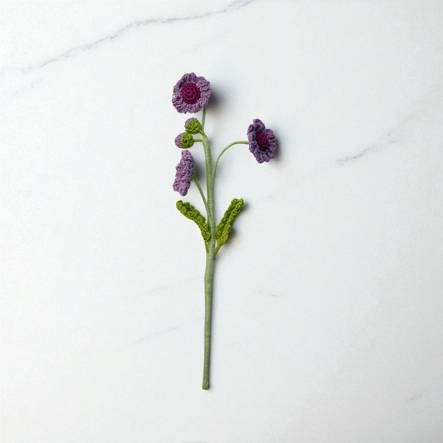 IMG-20250703-WA0040-Photoroom