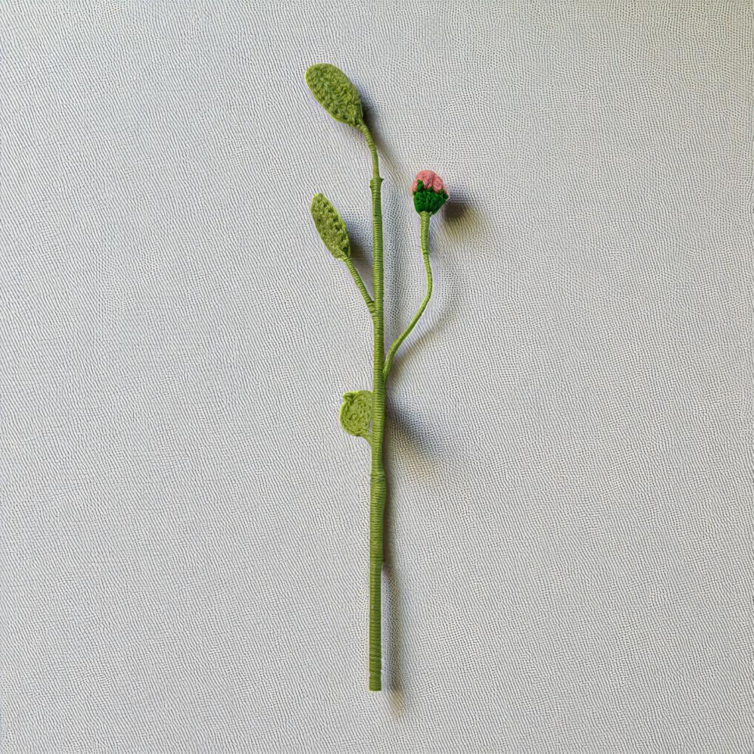 IMG-20250703-WA0048-Photoroom