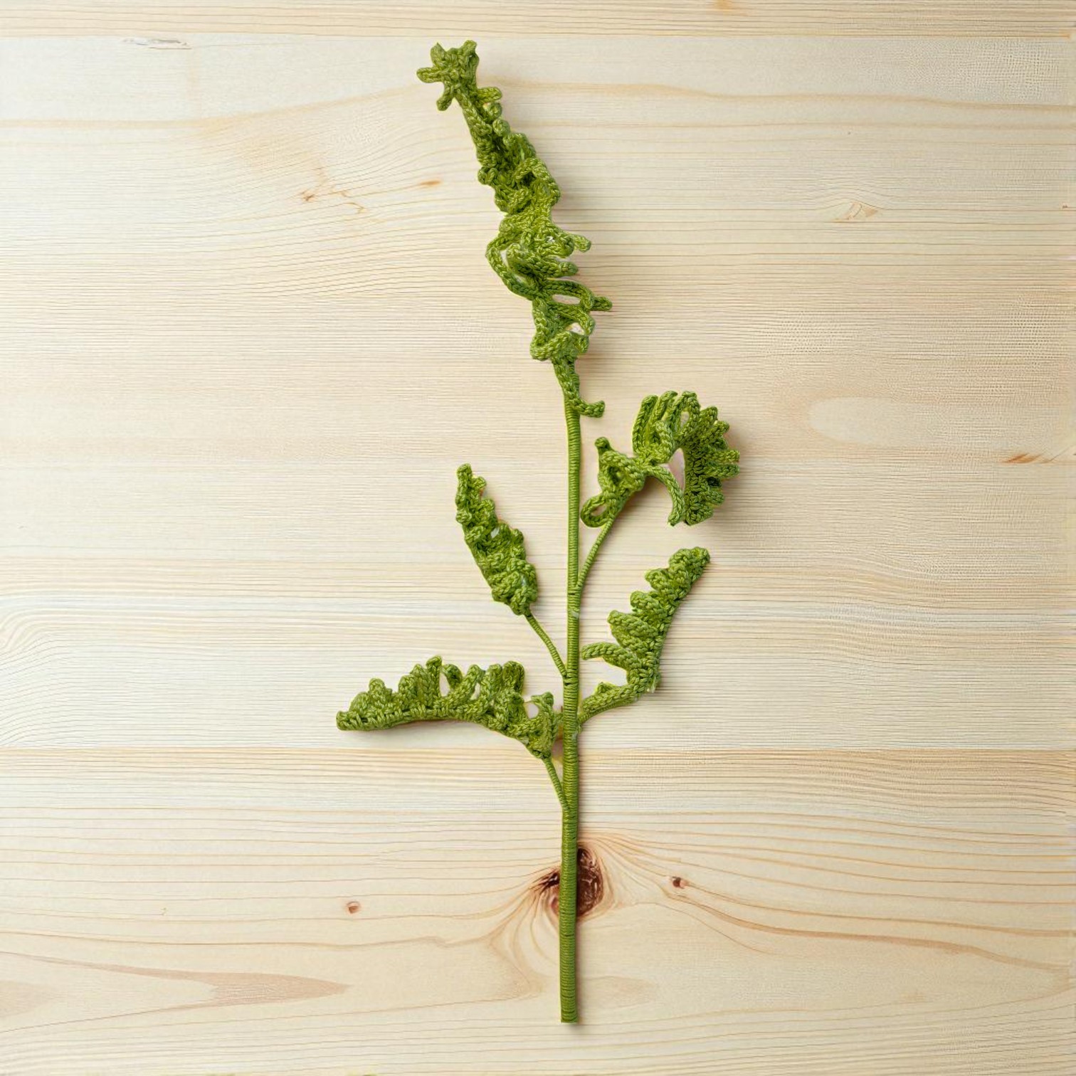 IMG-20250703-WA0051-Photoroom